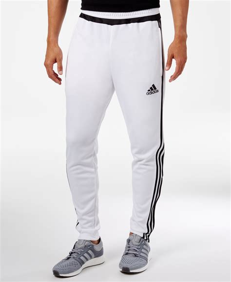 adidas herren trainingshose tiro 15|adidas Tiro 15 Training Pants .